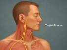 How to activate vagus nerve?